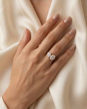 Load image into Gallery viewer, Diamond Sisters Ring
