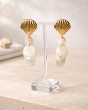 Load image into Gallery viewer, Sea Shell Earrings