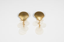 Load image into Gallery viewer, Sea Shell Earrings